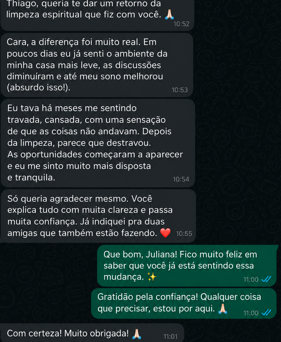Print de conversa no WhatsApp com agradecimento de cliente 2